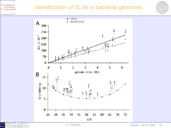 Identification of SLSs in bacterial genomes real shuffled G. Paolella Napoli, 18/12/ 2007 12