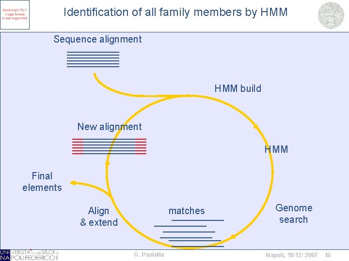 Identification of all family members by HMM Sequence alignment HMM build New alignment HMM