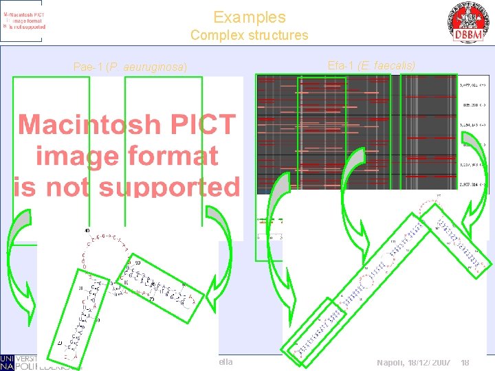 Examples Complex structures Efa-1 (E. faecalis) Pae-1 (P. aeuruginosa) G. Paolella Napoli, 18/12/ 2007