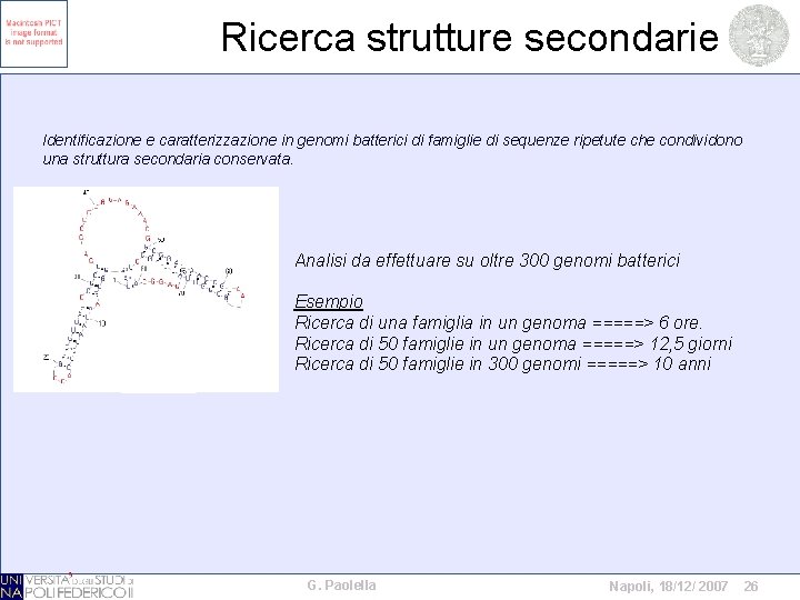 Ricerca strutture secondarie Identificazione e caratterizzazione in genomi batterici di famiglie di sequenze ripetute