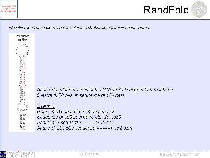 Rand. Fold Identificazione di sequenze potenzialmente strutturate nel trascrittoma umano. Analisi da effettuare mediante