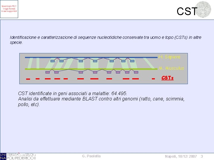 CST Identificazione e caratterizzazione di sequenze nucleotidiche conservate tra uomo e topo (CSTs) in