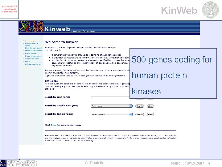 Kin. Web 500 genes coding for human protein kinases G. Paolella Napoli, 18/12/ 2007