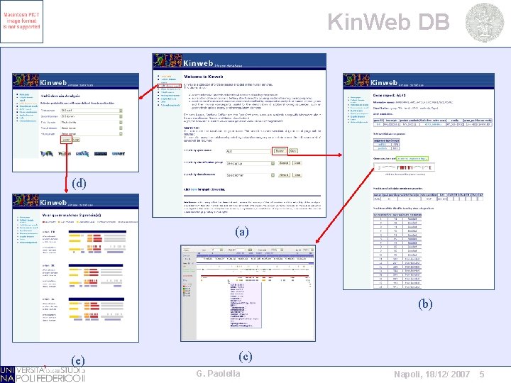 Kin. Web DB (d) (a) (b) (e) (c) G. Paolella Napoli, 18/12/ 2007 5