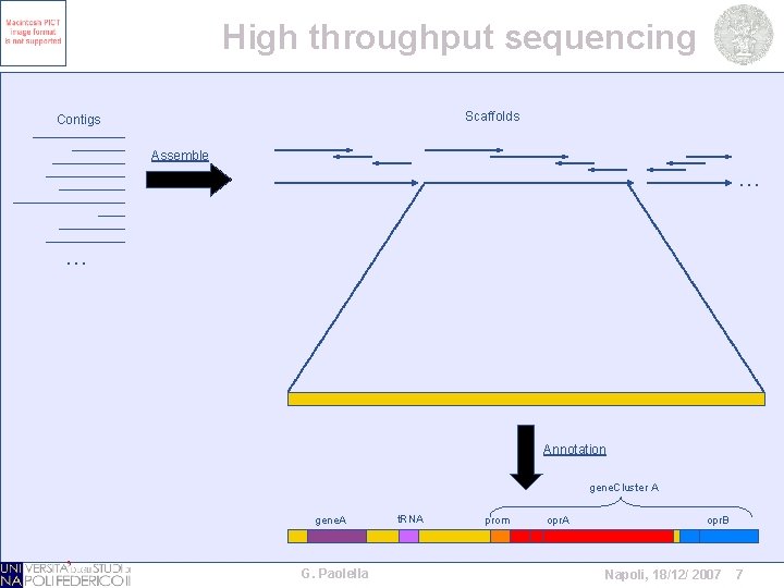 High throughput sequencing Scaffolds Contigs Assemble … … Annotation gene. Cluster A gene. A