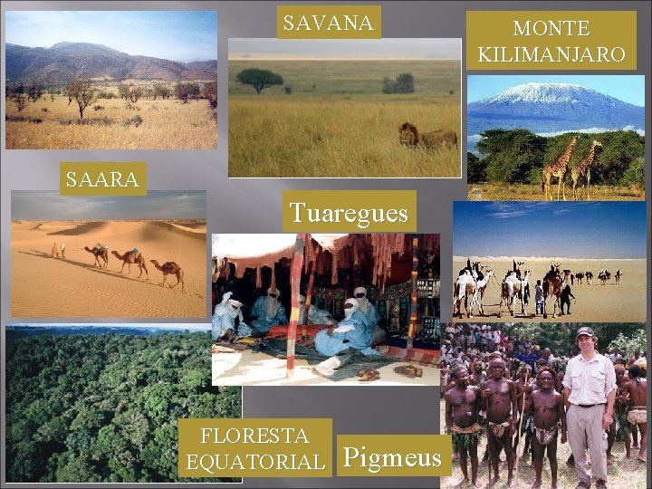 SAVANA SAARA Tuaregues FLORESTA EQUATORIAL Pigmeus MONTE KILIMANJARO 