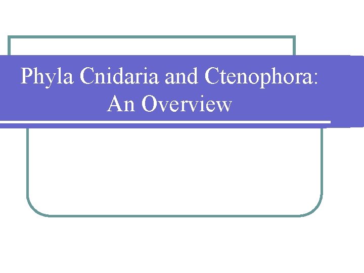 Phyla Cnidaria and Ctenophora: An Overview 
