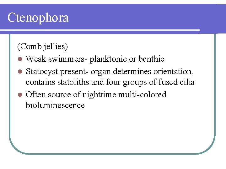 Ctenophora (Comb jellies) l Weak swimmers- planktonic or benthic l Statocyst present- organ determines