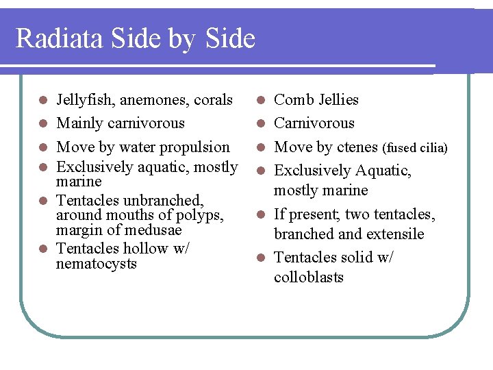 Radiata Side by Side l l l Jellyfish, anemones, corals Mainly carnivorous Move by