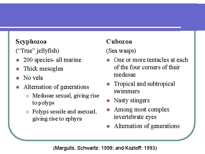 Scyphozoa Cubozoa (“True” jellyfish) l 200 species- all marine l Thick mesoglea l No