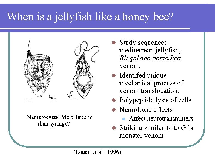 When is a jellyfish like a honey bee? Study sequenced mediterrean jellyfish, Rhopilema nomadica