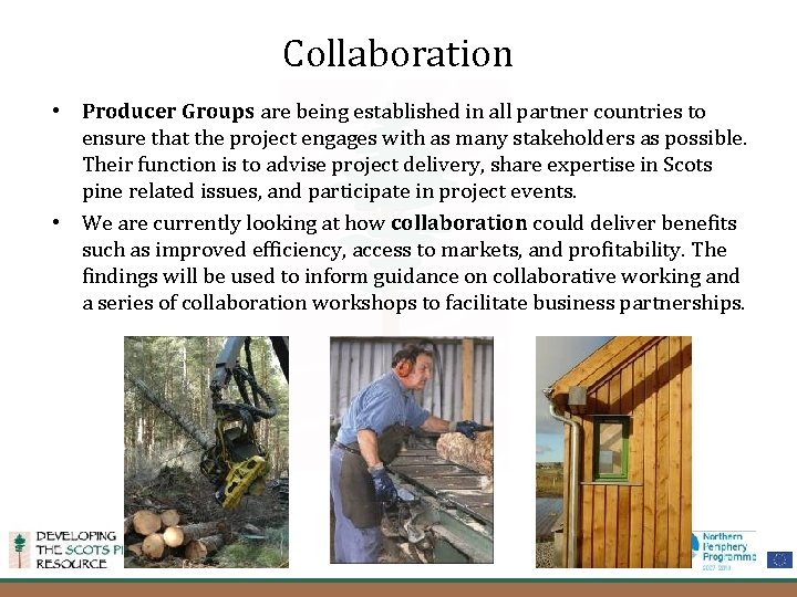 Collaboration • Producer Groups are being established in all partner countries to ensure that