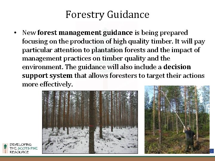 Forestry Guidance • New forest management guidance is being prepared focusing on the production