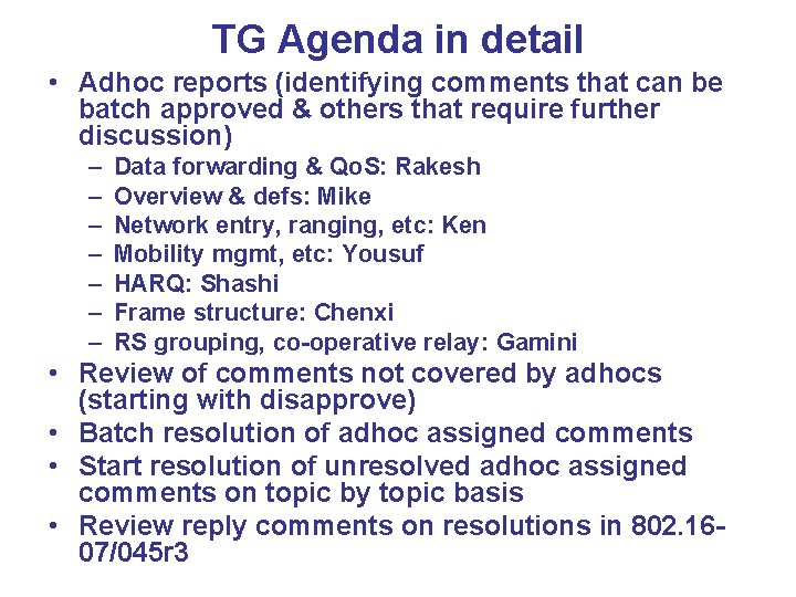 TG Agenda in detail • Adhoc reports (identifying comments that can be batch approved