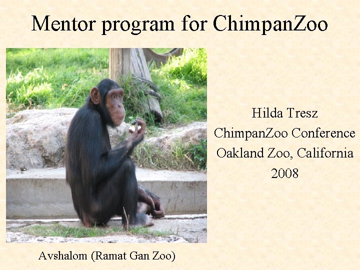 Mentor program for Chimpan. Zoo Hilda Tresz Chimpan. Zoo Conference Oakland Zoo, California 2008