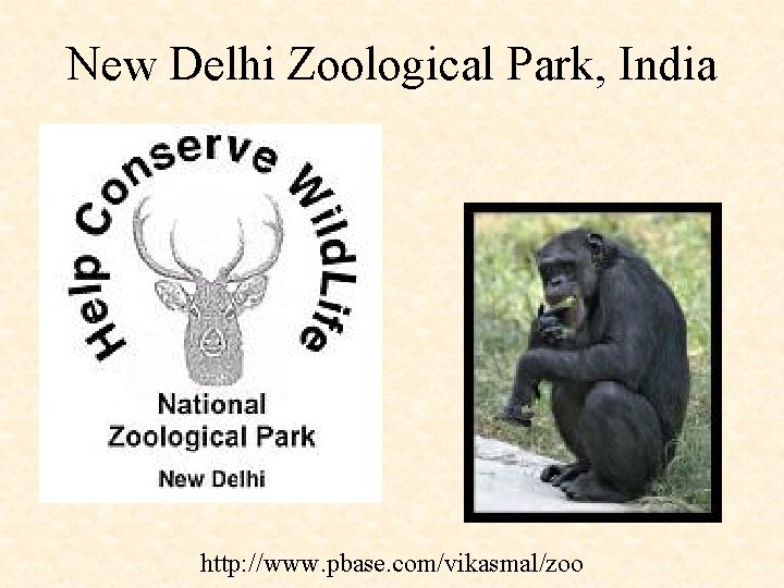 New Delhi Zoological Park, India http: //www. pbase. com/vikasmal/zoo 