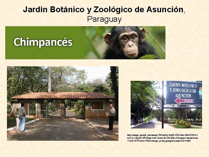 Jardín Botánico y Zoológico de Asunción, Paraguay http: //images. google. com/images? hl=en&q=Jard%C 3%ADn+Bot%C 3%A