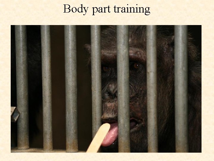 Body part training 