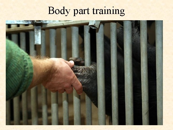 Body part training 