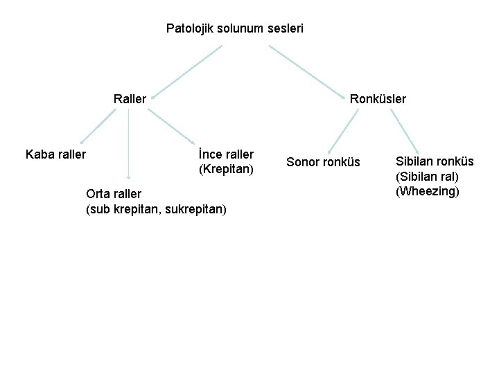 Patolojik solunum sesleri Raller Kaba raller Ronküsler İnce raller (Krepitan) Orta raller (sub krepitan,