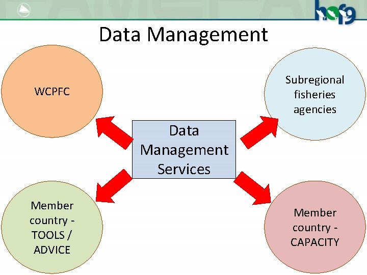 Data Management Subregional fisheries agencies WCPFC Data Management Services Member country TOOLS / ADVICE