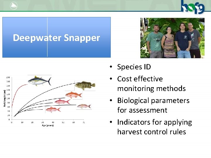 Deepwater Snapper • Species ID • Cost effective monitoring methods • Biological parameters for