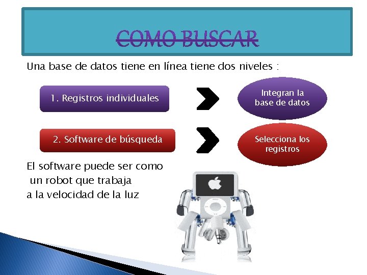 Una base de datos tiene en línea tiene dos niveles : 1. Registros individuales