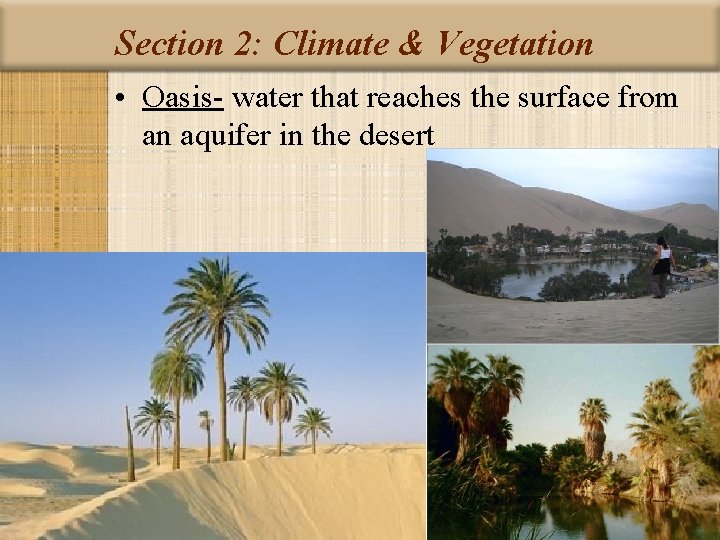 Section 2: Climate & Vegetation • Oasis- water that reaches the surface from an