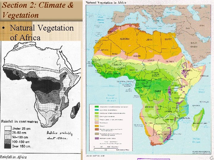 Section 2: Climate & Vegetation • Natural Vegetation of Africa 