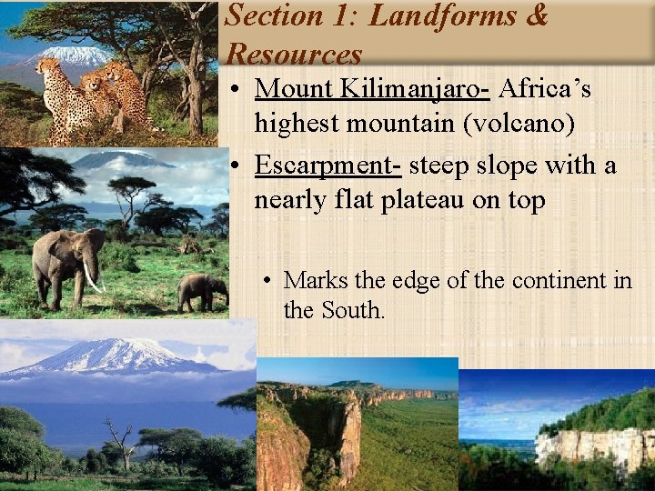 Section 1: Landforms & Resources • Mount Kilimanjaro- Africa’s highest mountain (volcano) • Escarpment-