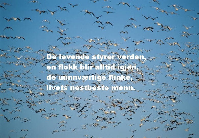 De levende styrer verden, en flokk blir alltid igjen, de uunnværlige flinke, livets nestbeste