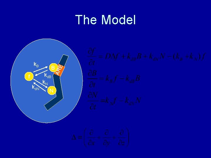 k. B kd. N kd. B k. N N AR f B E The