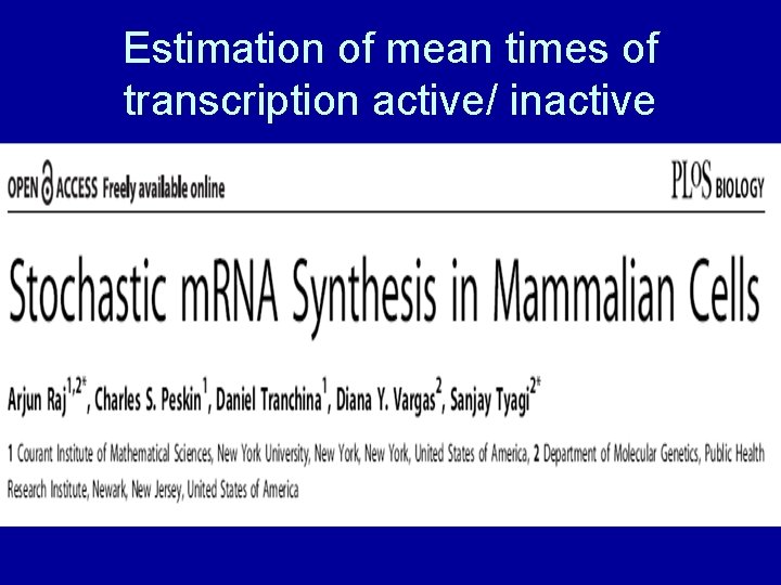 Estimation of mean times of transcription active/ inactive 