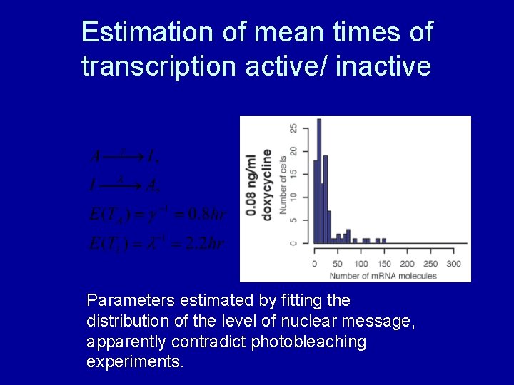 Estimation of mean times of transcription active/ inactive Parameters estimated by fitting the distribution