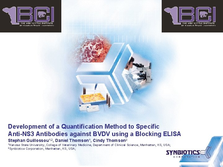 Development of a Quantification Method to Specific Anti-NS 3 Antibodies against BVDV using a