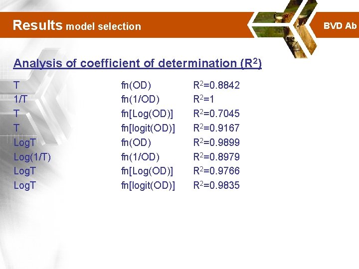 Results model selection BVD Ab Analysis of coefficient of determination (R 2) T 1/T