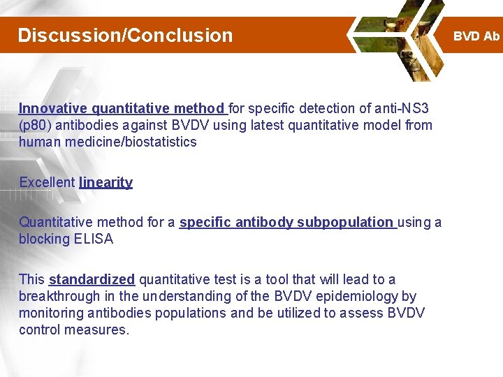 Discussion/Conclusion Innovative quantitative method for specific detection of anti-NS 3 (p 80) antibodies against