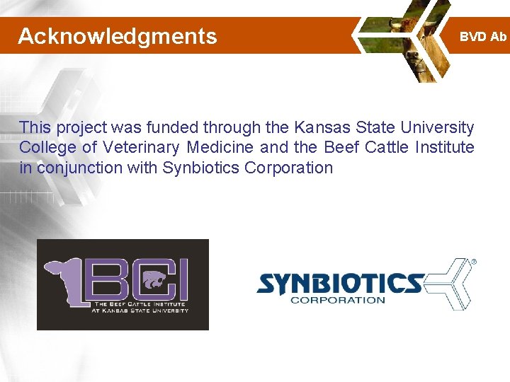 Acknowledgments BVD Ab This project was funded through the Kansas State University College of