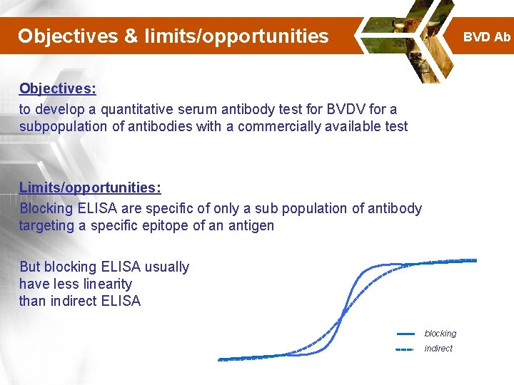 Objectives & limits/opportunities BVD Ab Objectives: to develop a quantitative serum antibody test for