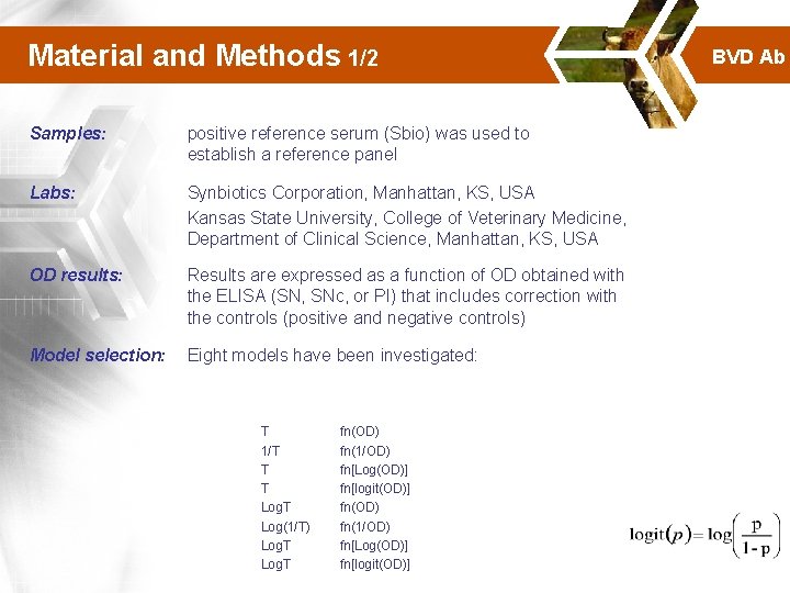 Material and Methods 1/2 Samples: positive reference serum (Sbio) was used to establish a