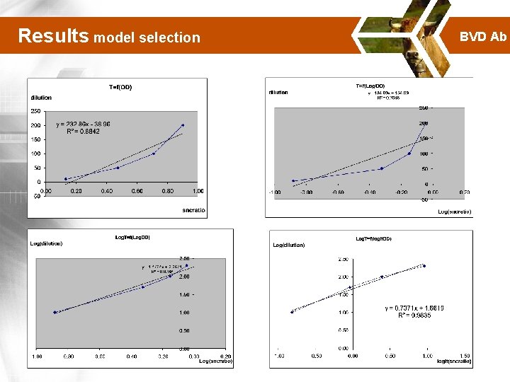 Results model selection BVD Ab 