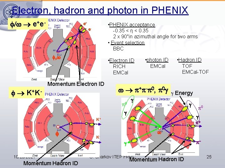 Electron, hadron and photon in PHENIX / e+e- e+ • PHENIX acceptance -0. 35