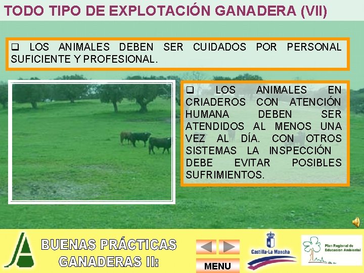 TODO TIPO DE EXPLOTACIÓN GANADERA (VII) q LOS ANIMALES DEBEN SER CUIDADOS POR PERSONAL