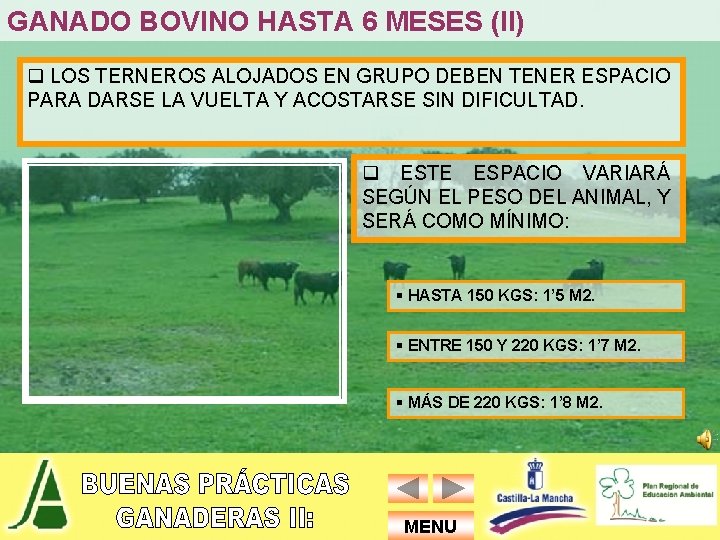 GANADO BOVINO HASTA 6 MESES (II) q LOS TERNEROS ALOJADOS EN GRUPO DEBEN TENER