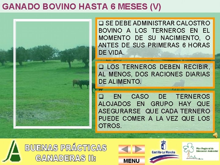 GANADO BOVINO HASTA 6 MESES (V) q SE DEBE ADMINISTRAR CALOSTRO BOVINO A LOS