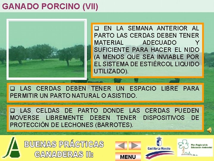 GANADO PORCINO (VII) q EN LA SEMANA ANTERIOR AL PARTO LAS CERDAS DEBEN TENER