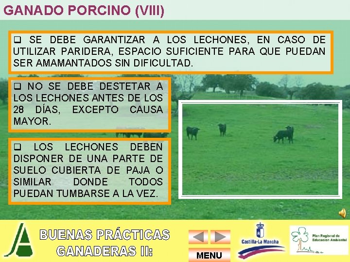 GANADO PORCINO (VIII) q SE DEBE GARANTIZAR A LOS LECHONES, EN CASO DE UTILIZAR