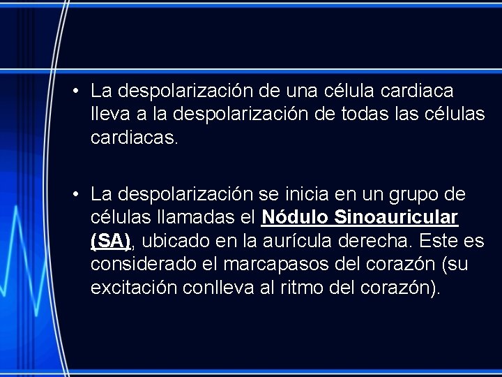 • La despolarización de una célula cardiaca lleva a la despolarización de todas