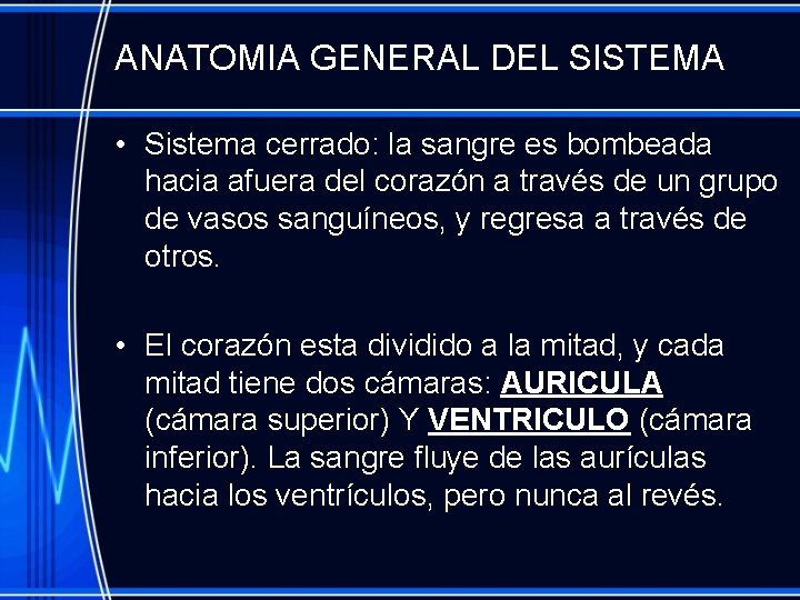 ANATOMIA GENERAL DEL SISTEMA • Sistema cerrado: la sangre es bombeada hacia afuera del