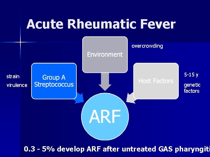 Acute Rheumatic Fever overcrowding strain 5 -15 y virulence genetic factors 0. 3 -